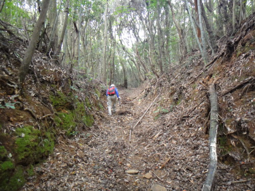 c0179351_18254557.jpg