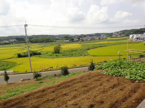 c0179351_1827322.jpg