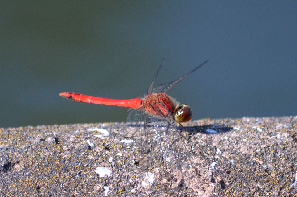 d0283357_002461.jpg