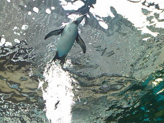 f0061067_19204177.jpg