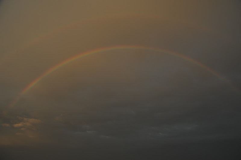 a0154170_16124496.jpg