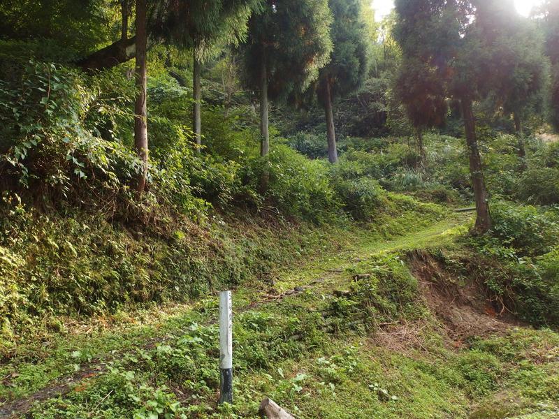 c0177576_2165581.jpg