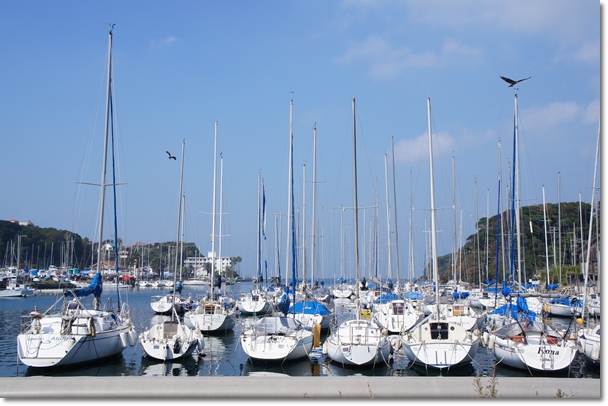 d0148980_12343613.jpg