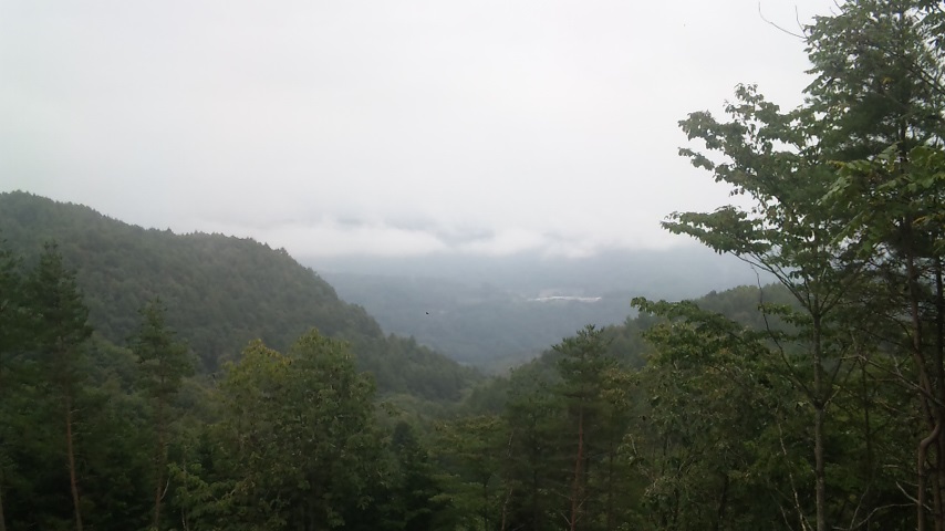f0131183_6542765.jpg
