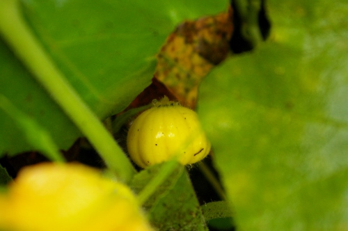b0283192_853560.jpg