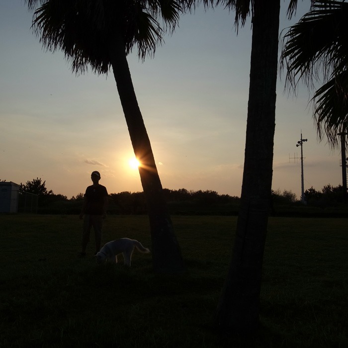 c0049299_1012295.jpg
