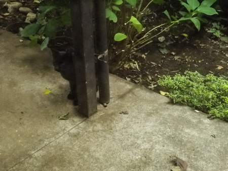 f0239100_0204740.jpg