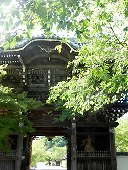 e0118904_2042384.jpg