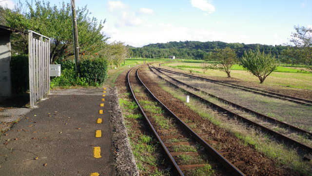 a0116205_19105711.jpg