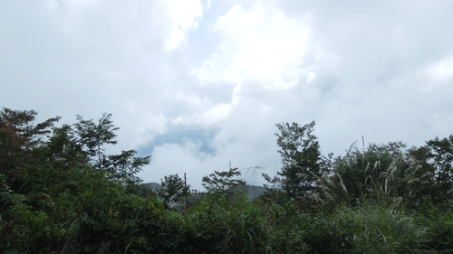 c0051105_1529127.gif