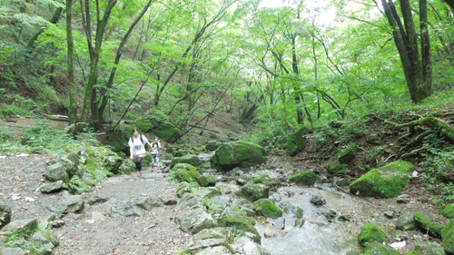 c0051105_16325026.gif