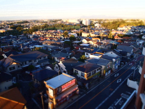 e0131506_2195989.jpg