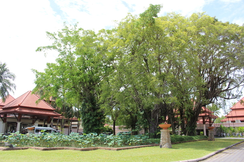b0293908_113177.jpg