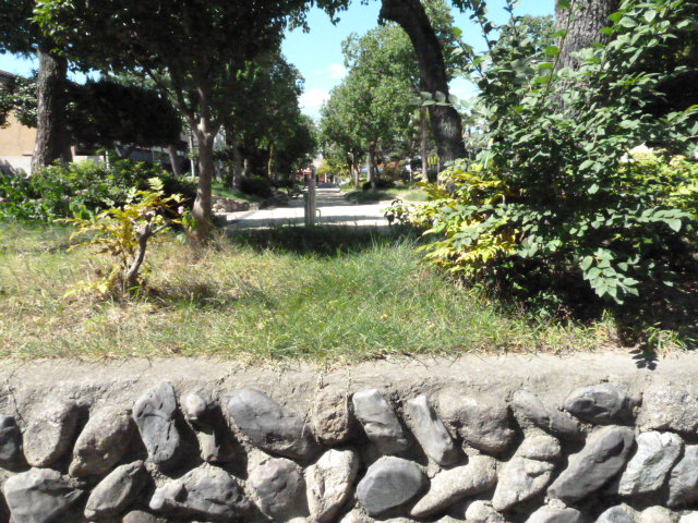 c0066514_115233.jpg