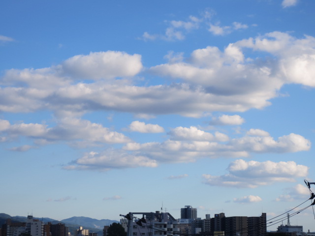 f0248616_1603273.jpg