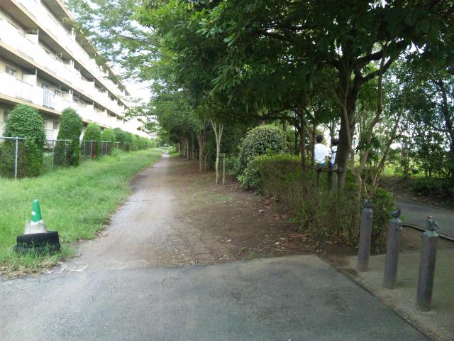 c0236527_19515260.jpg
