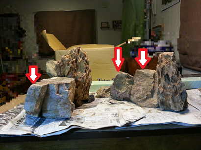 b0263828_115764.png