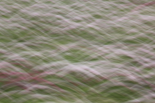 e0311229_2211249.jpg