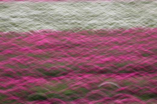 e0311229_2222825.jpg