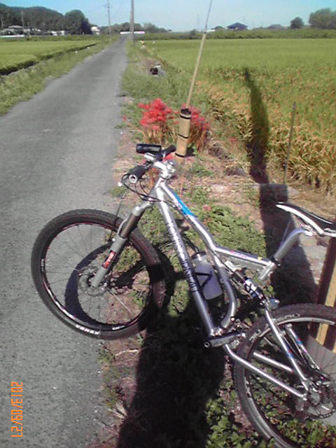 b0222530_1202057.jpg