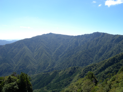 e0272335_826172.jpg