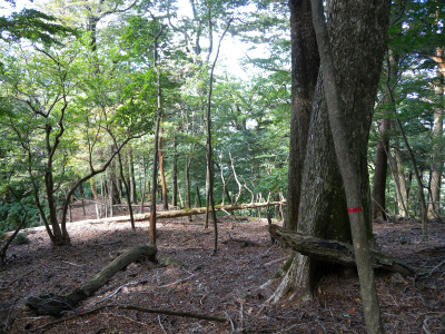 e0272335_8415265.jpg