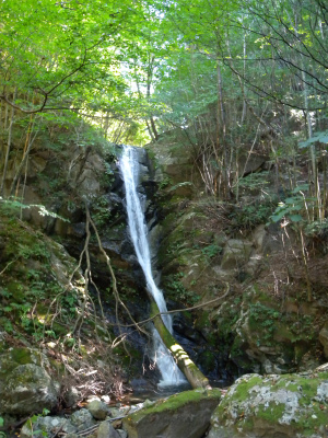 e0272335_8535276.jpg
