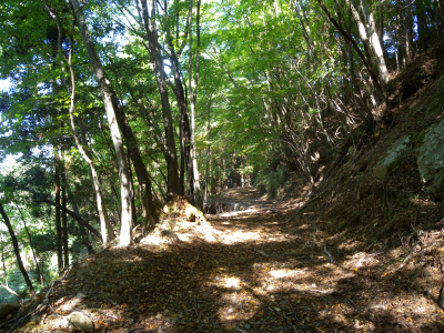 e0272335_9343888.jpg