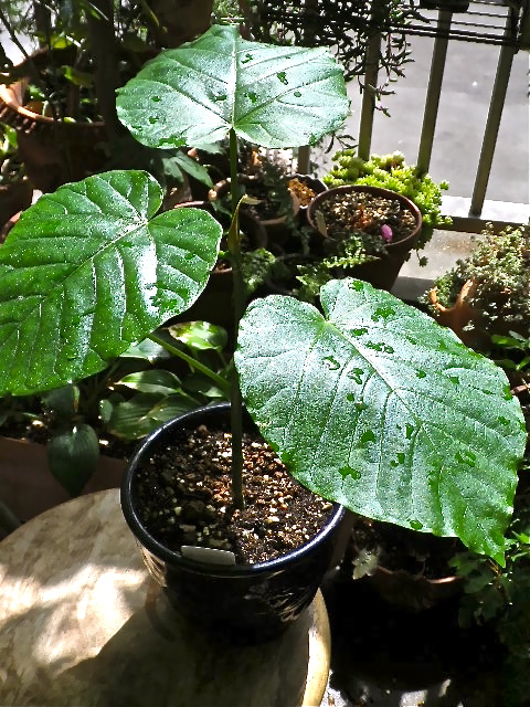 b0027736_23395243.jpg