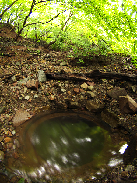 b0130243_2046539.jpg