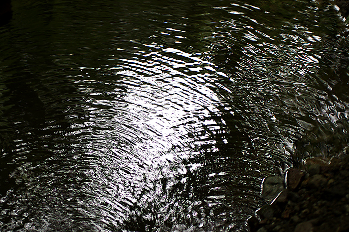 b0130243_20514415.jpg