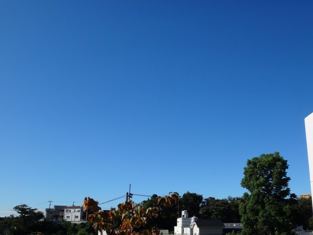 e0150843_18301685.jpg