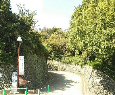 a0111166_804753.jpg