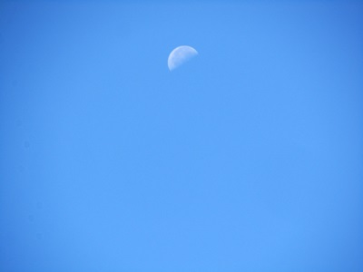 b0149071_16422677.jpg