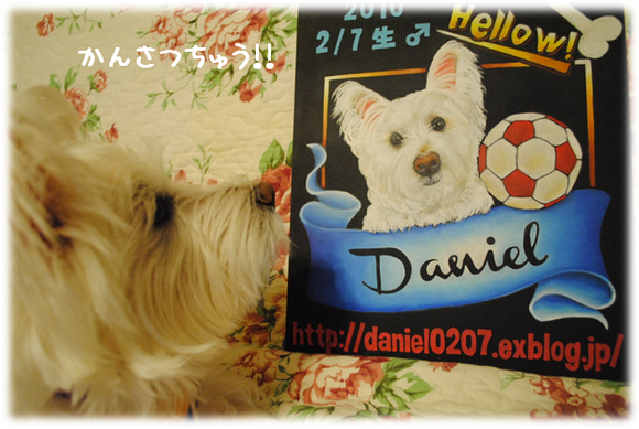 b0242873_1135172.png