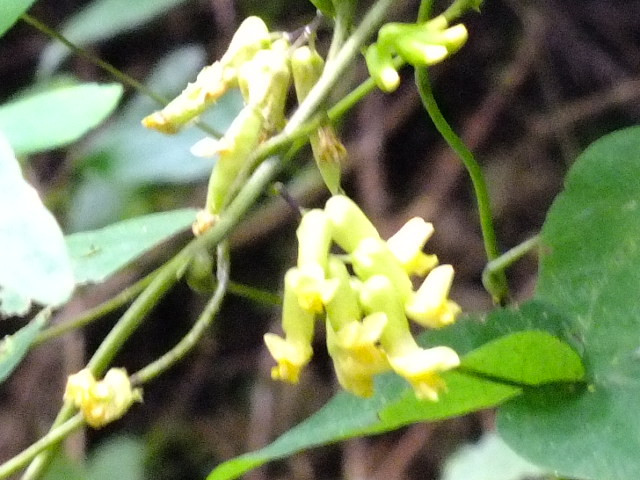 e0145782_10245937.jpg