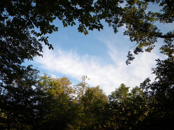 a0196286_7401252.jpg