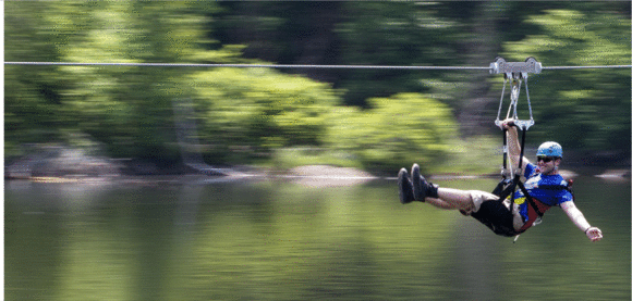 e0161692_0195670.gif
