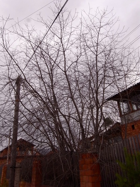 e0250594_1404558.jpg