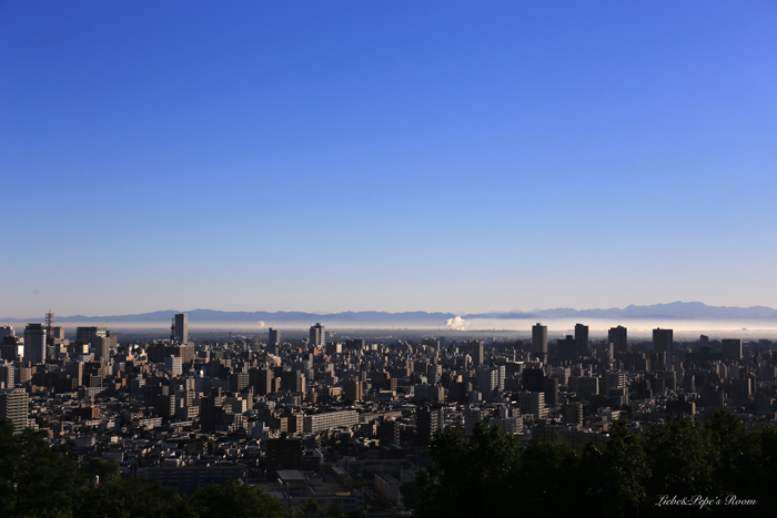 f0001895_174752.jpg