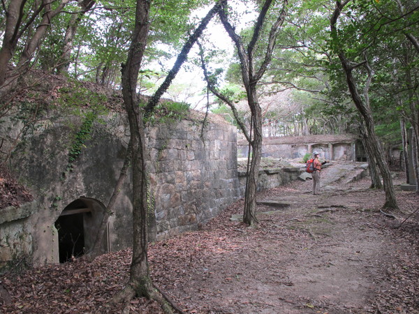 a0166196_16441817.jpg