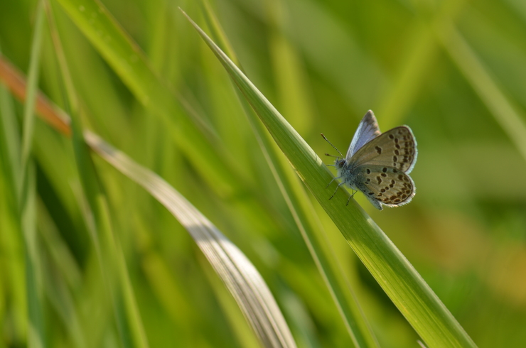 a0277496_22493926.jpg