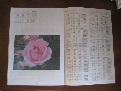 f0201297_640354.jpg