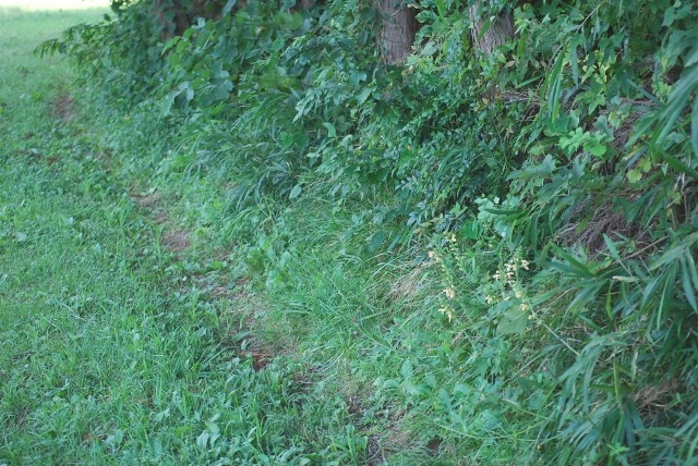 e0025300_17185739.jpg