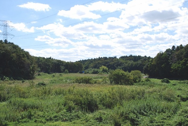 e0025300_178993.jpg