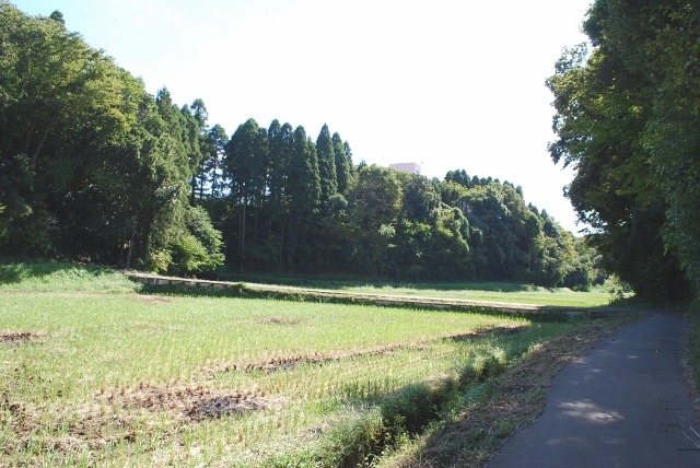 e0025300_1792572.jpg
