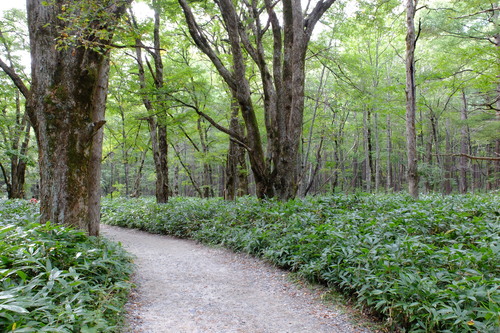 e0304001_14104238.jpg