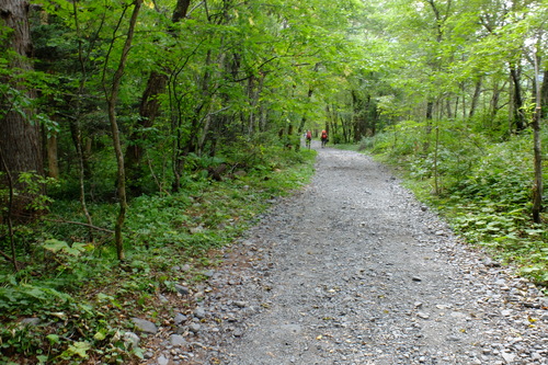 e0304001_21505332.jpg