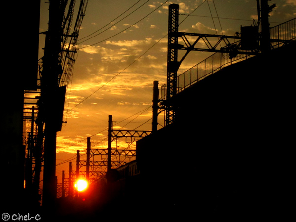 a0154706_1375099.jpg