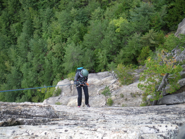 d0006512_17115469.jpg